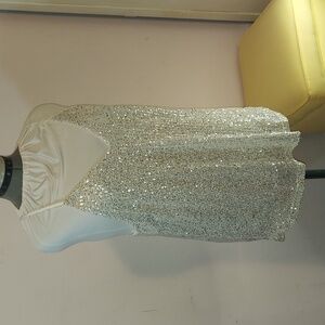 Elegant Silver Sequin Women's Top